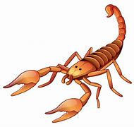 Image result for Scorpion Clips Graphics