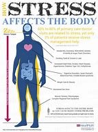 Image result for Stress Health Effects