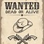 Image result for Real Wanted Poster From the Wild West