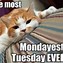 Image result for Tuesday Work Meme