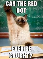 Image result for Any Questions Funny Cat