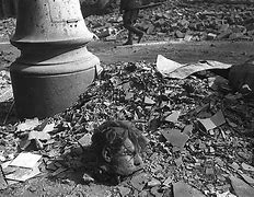 Image result for Soviet Casualties in Ukraine