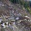 Image result for Forest Falls Landslide