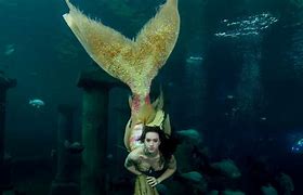 Image result for Mermaids Are Real Documentary