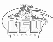 Image result for LSU Tigers Hoodie