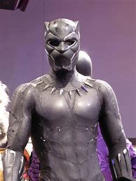 Image result for Black Panther Movie Costume Exhibit