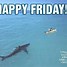 Image result for Funny Happy Friday Quotes