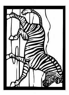 Coloring pages of zebras Zebra coloring pages Coloring pages animals