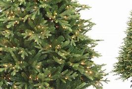 Image result for Price of Christmas Trees at Home Depot