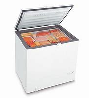 Image result for Outdoor Freezer Storage