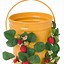 Image result for Strawberry Planter Pot