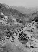 Image result for WW2 Hungarian SPGS