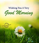Image result for Happy Morning Wishes