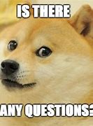 Image result for Any Questions Dog