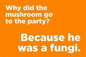 Image result for Cheesy Joke of the Day