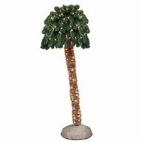 Image result for Home Depot Palm Trees