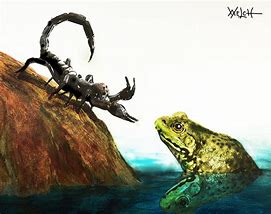 Image result for Frog and Scorpion Art