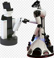 Image result for Domestic Robot