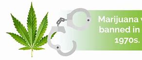 Image result for Marijuana Must Be Banned
