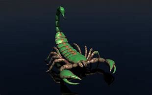 Image result for 3D Model Scorpion Bug