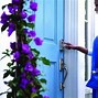 Image result for Best Keyless Door Locks Residential