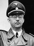 Image result for TNO Himmler