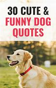 Image result for Food Funny Dog Quotes