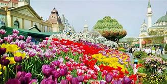 Image result for Gyeonggi Province Icheon Flowers