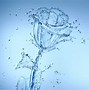 Image result for Dripping Water 4K