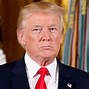 Image result for Donald Trump Presidential Portrait