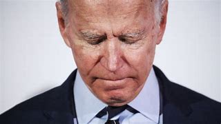 Image result for Joe Biden Symbol