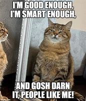 Image result for Inspirational Cat Memes