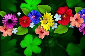 Image result for Flower Full HD Wallpapers 1920X1080