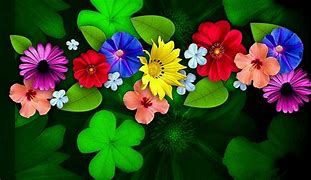 Image result for Ultra HD Wallpapers 1080P Flowers