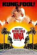 Image result for Beverly Hills Ninja Club