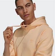 Image result for Adidas Trefoil Hoodie Gray