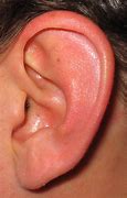 Image result for Child's Ear