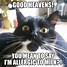 Image result for Bing Funny Cats