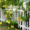 Image result for Small White Vinyl Picket Fence