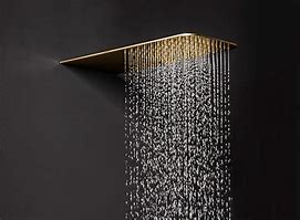 Image result for Gold Rain Shower Heads with Handheld