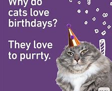 Image result for witty birthday jokes