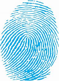 Image result for Fingerprint PNG