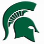 Image result for Michigan State Logo Hoodies