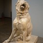 Image result for Large Dogs