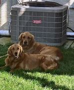 Image result for Heating and Air Conditioning Service Near Me
