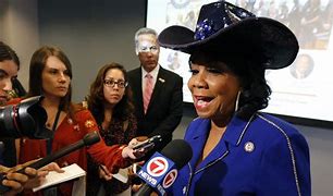 Image result for Frederica Wilson
