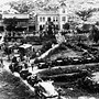 Image result for Chinese Death Toll Korean War