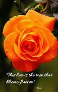 Image result for Tokyo Rose Quotes