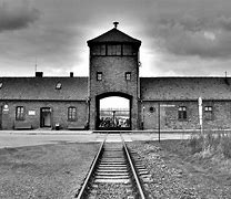 Image result for Birkenau Camp