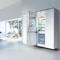 Image result for Miele Freezer